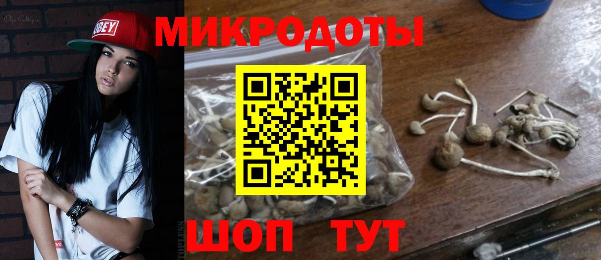 где найти наркотики  Галлюциногенные грибы мицелий  Вход с VPN  Михайловск 